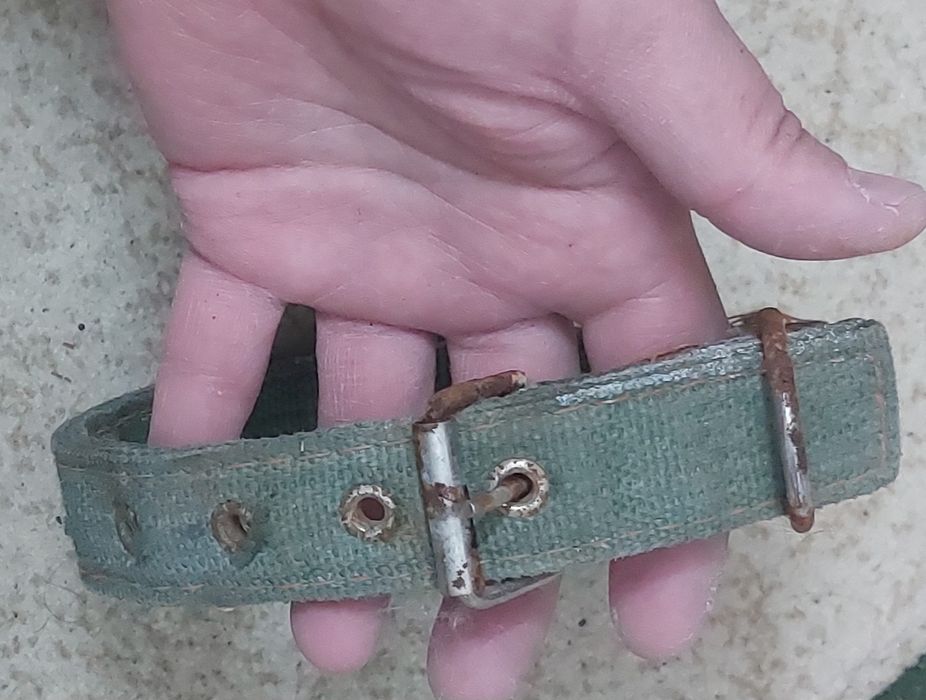 Новый Ошейник для собаки средний.