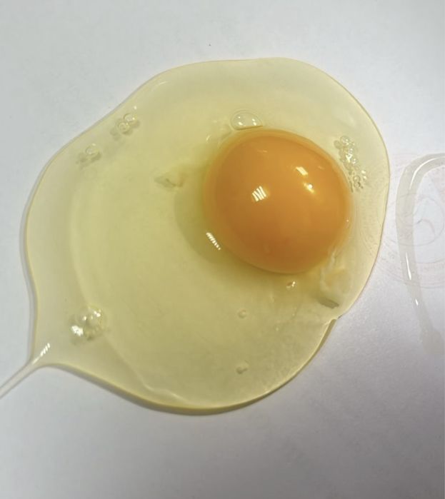 Реализем Яйцо куриное только оптом