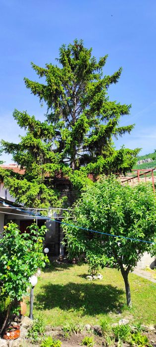 Продава се Къща в София, Красна поляна 3 - 749 кв.м за 207 €/кв.м - Снимка #1