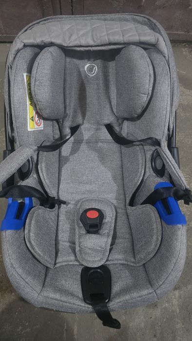 Scoica Auto Coccolle