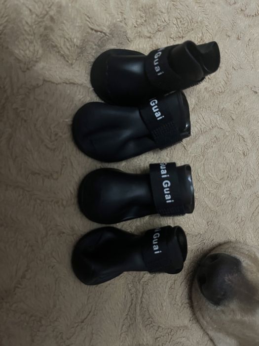 Вещи для маленьких пород собак либо щенков,