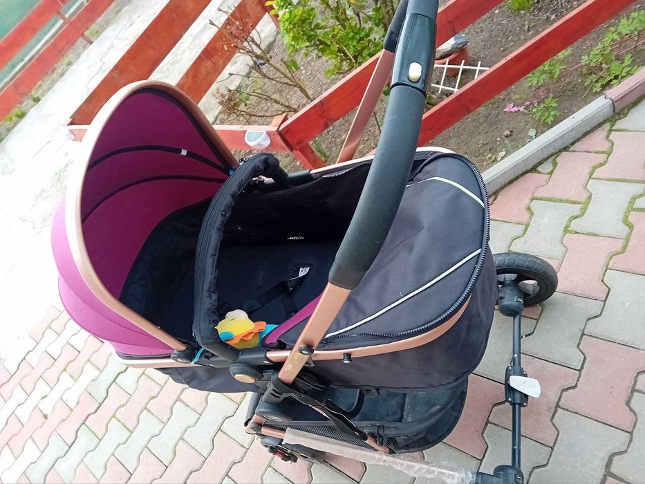 Carut  2in1  0-36 luni