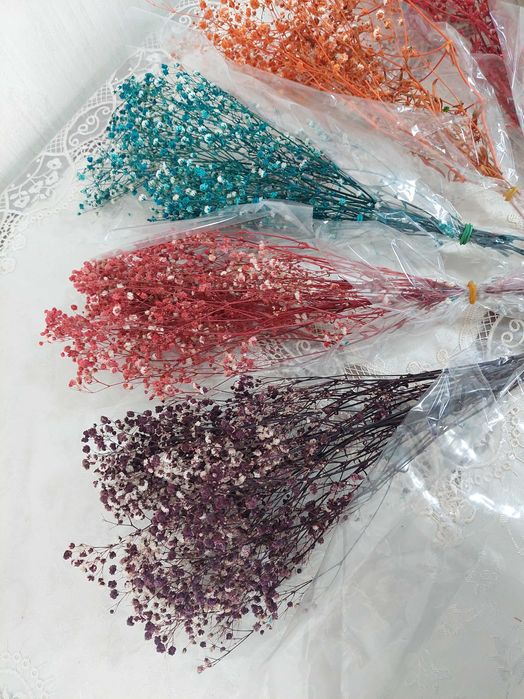 Сухоцветы гипсофила