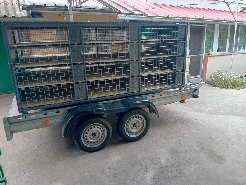 Vand platforma in doua axe plus cusca transport potumbei