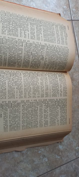 Set 2 Dictionare ale  Limbii Romane
