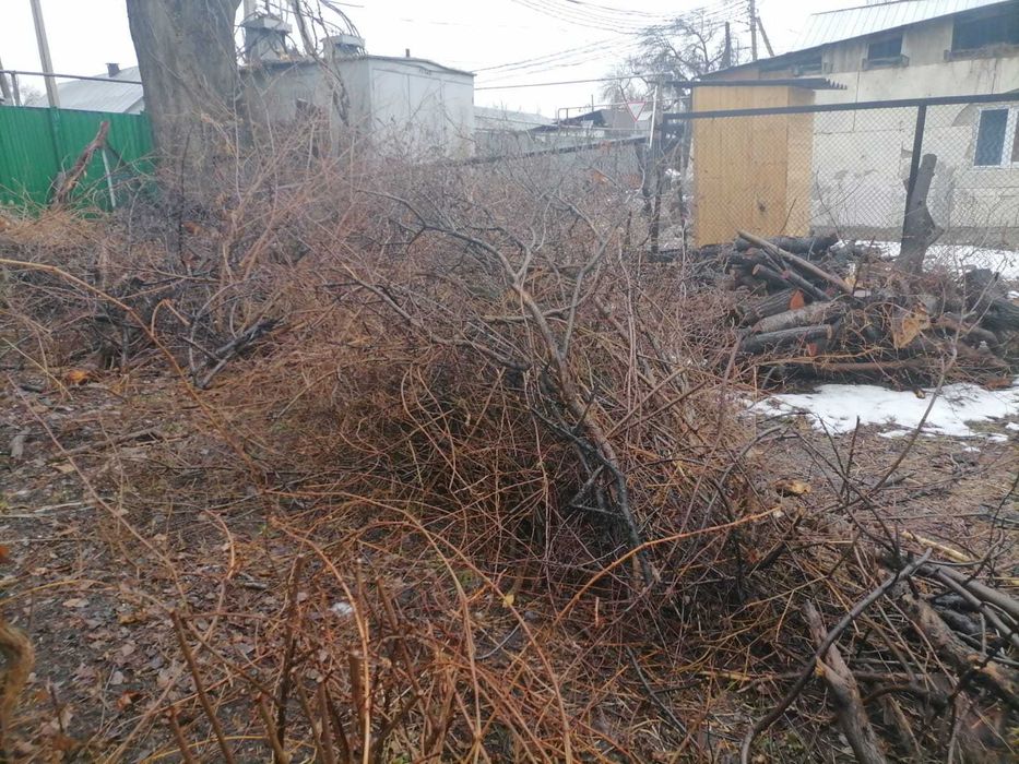 отдам дрова. Самовывоз