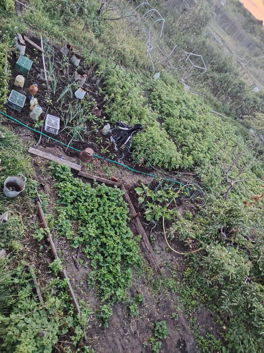 Продам дачу в 1 общ. 400000т. полив отличный