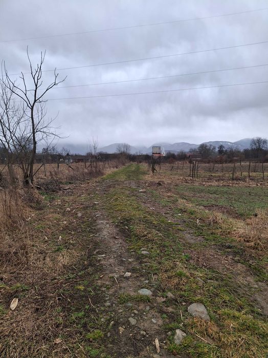 Teren intravilan Porumbacu de sus