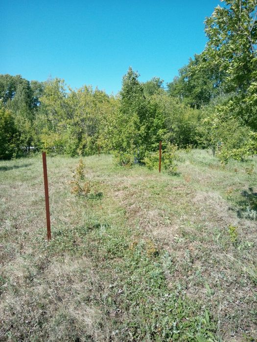 Земельный участок