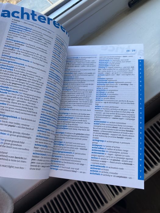 Dictionar neerlandez-englez