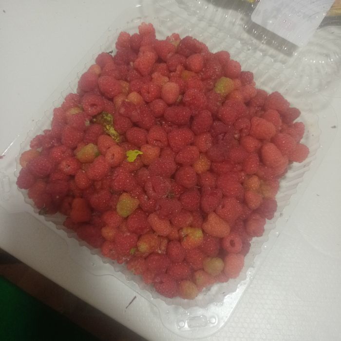Продам Малина дачная .