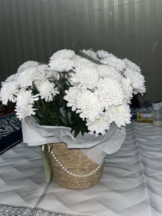 Букет хризантема цветы