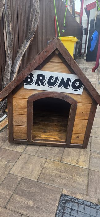 Cusca caine dedeman mare