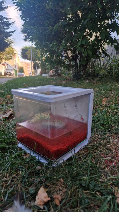 Acvariu de pești Marina beta kit