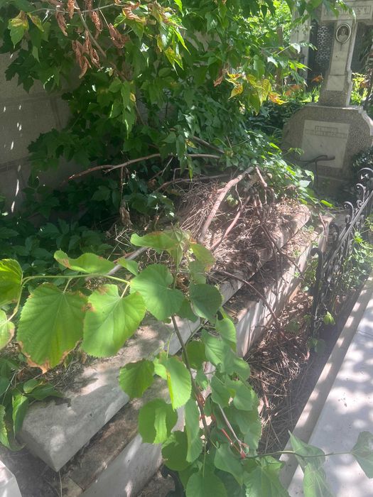 Vand urgent loc de veci in cimitirul Iancu Nou
