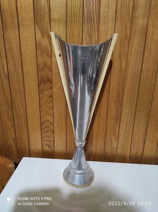 Кубки спортивные