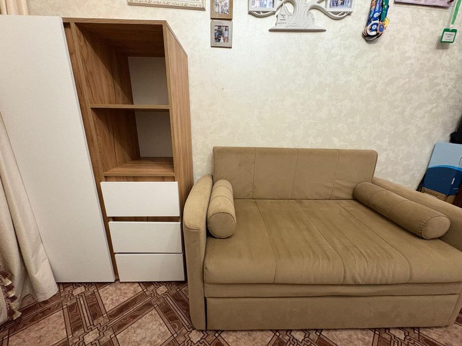 Диван-раскладушка, шкаф