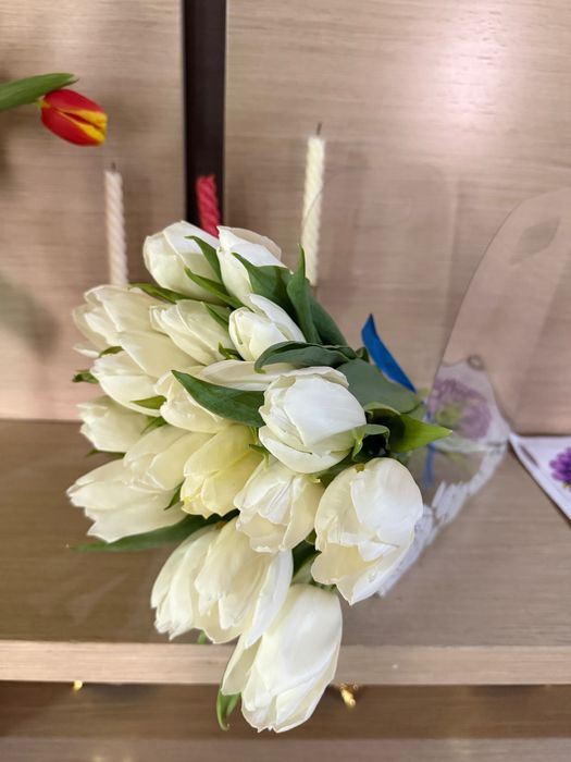 Тюльпаны с луковицами