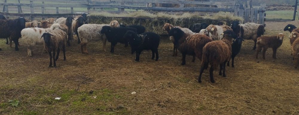 Продажа пишите звоните