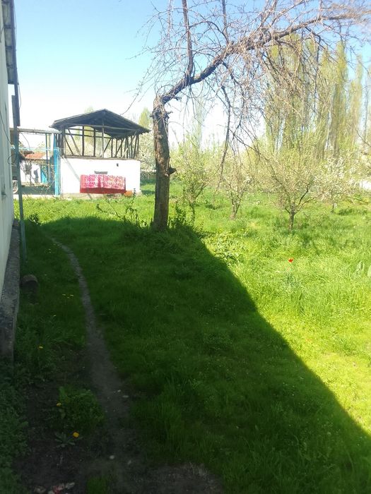 Yer sotiladi 5 sotik