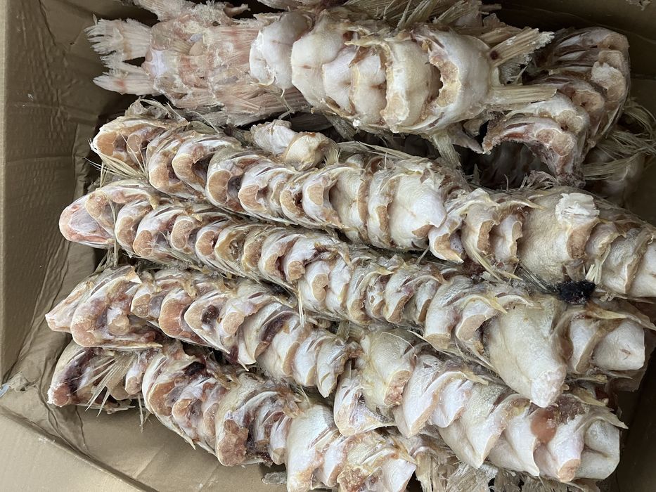 Ушки алакольские