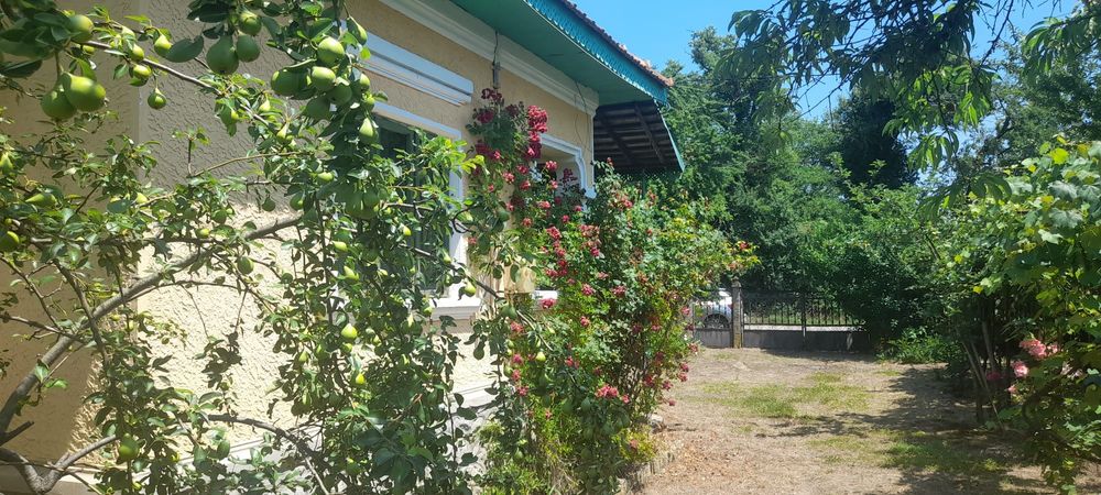 Casă de vânzare într-o zonă de poveste – Frâncești, comuna Peștișani, județul Gorj