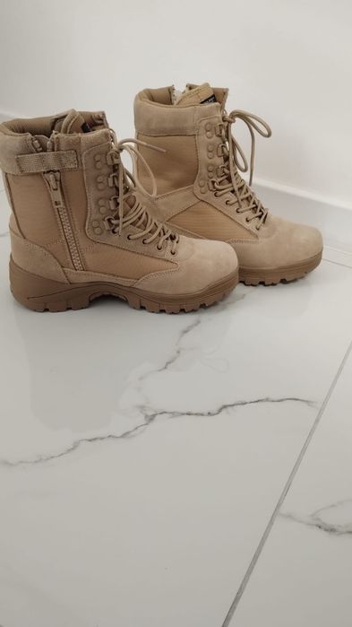 Bocanci iarna desert