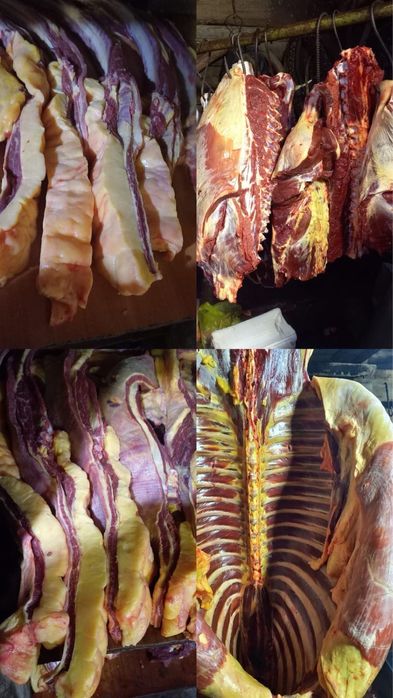 Соғым байтал сиракталган