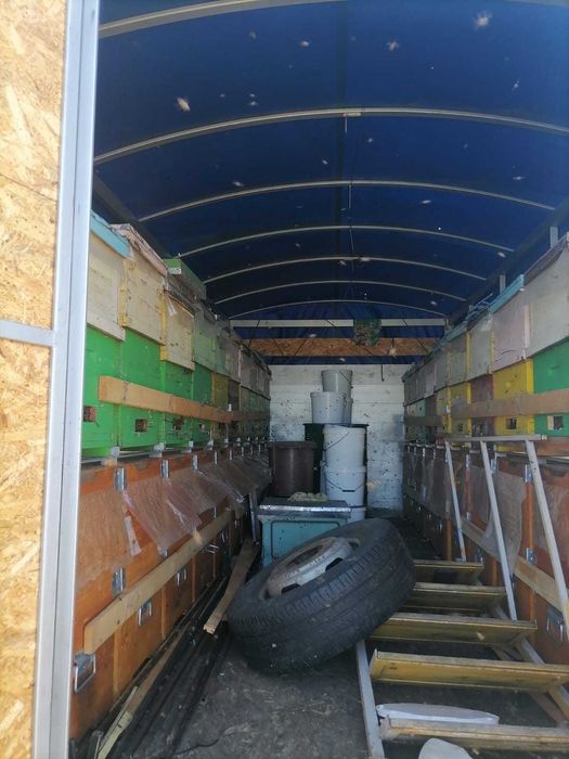 Mercedes-Benz Vario 614, indestructibil