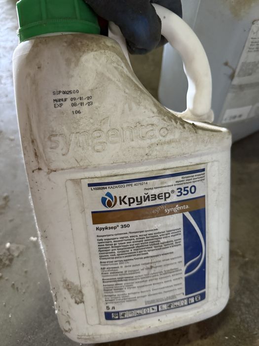 Инсектицидный протравитель Круйзер 350, 2020 года.
