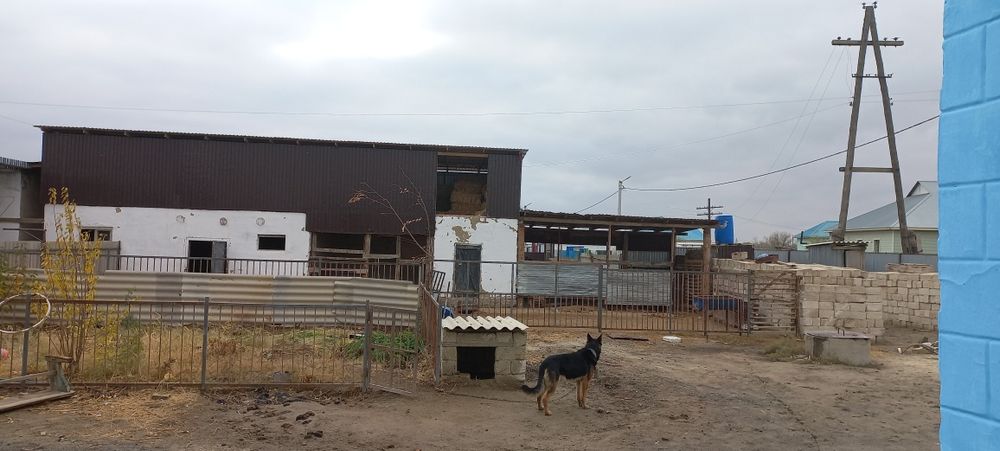 Жер үй сатылады, продажа дома