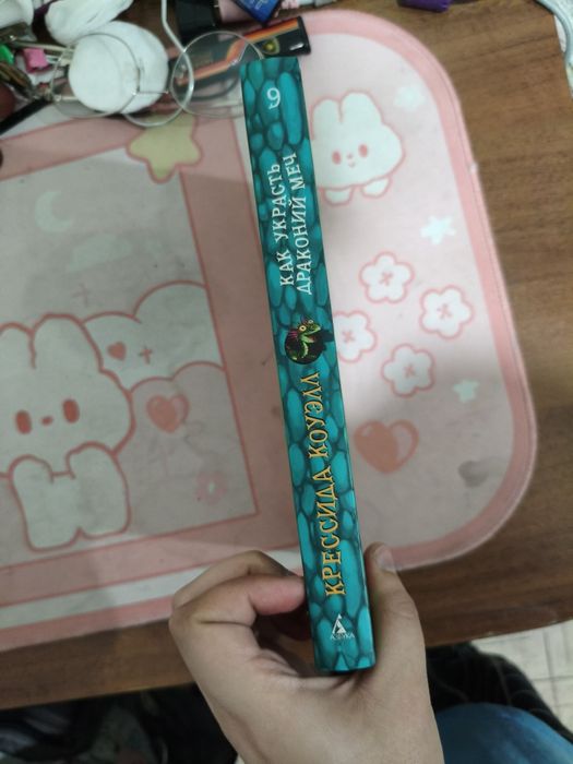 Книга Как приручить дракона