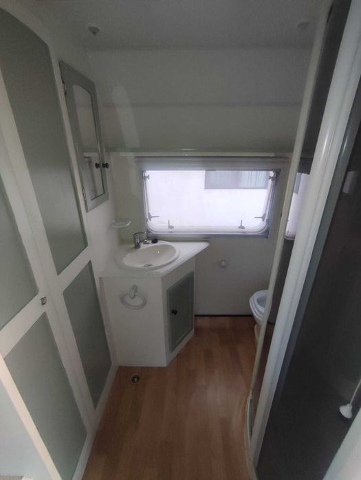 Rulota Avondale Avocet