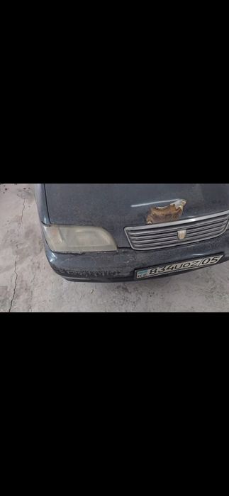 Костоправ, маляр