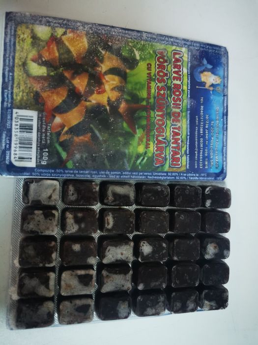 Hrana congelata de vie de orice fel.