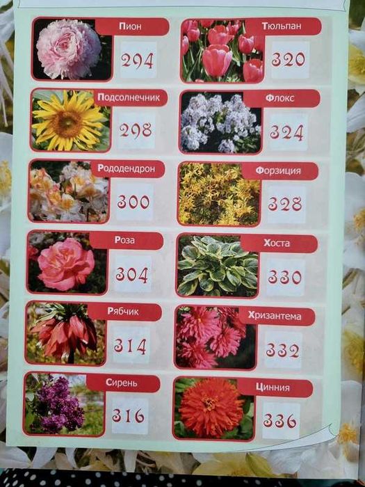 Gradina In RUSA full color Enciclopedia Plantelor Gradinarului 350 pag