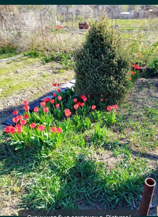 Продам жилой дом на Красном камне