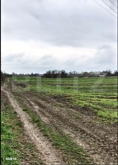 Teren intravilan 19.650 mp, 65 ml deschidere – 3 accesuri, pozitie