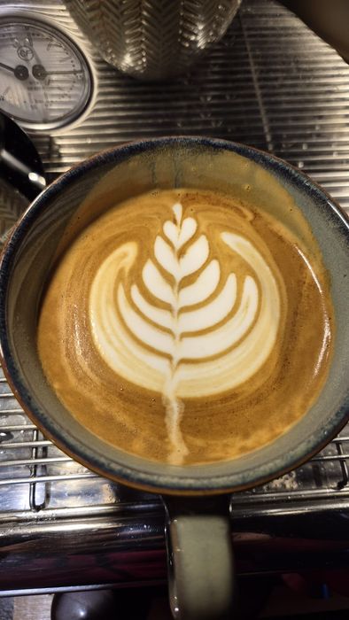 espresor Lelit ANNA PL41 LEM si rasnita Lelit