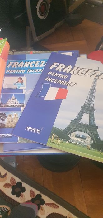 Cursuri franceza incepatori 50 ron