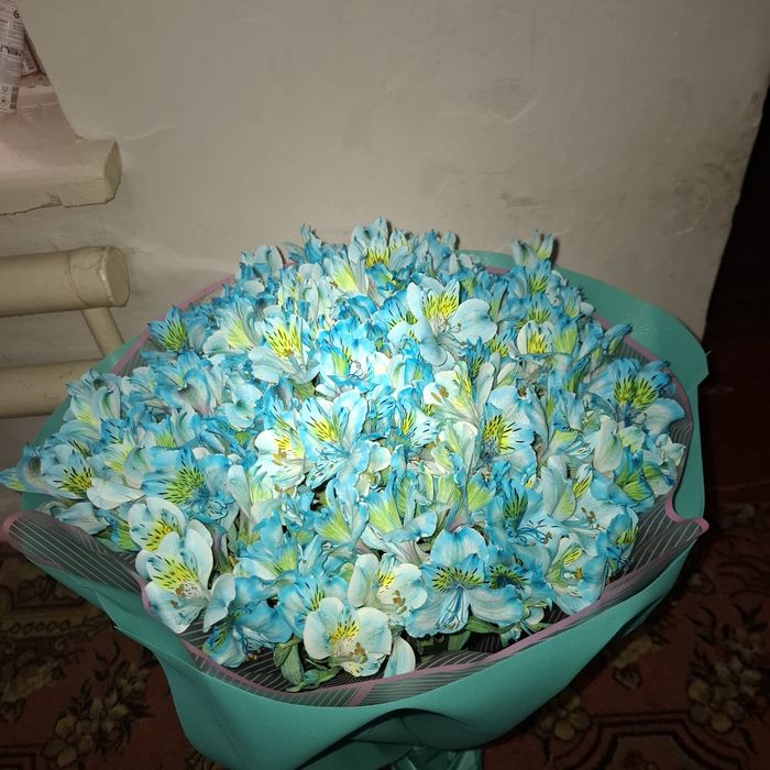Цветы свежые куплена день назад