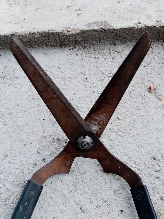 Градинска ножица за храсти и дървета.