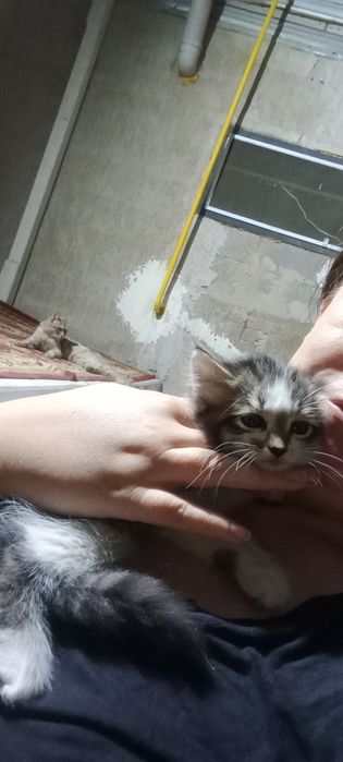 Сдам квартиру на длительный срок