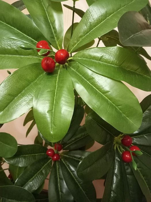 Продам искусственный