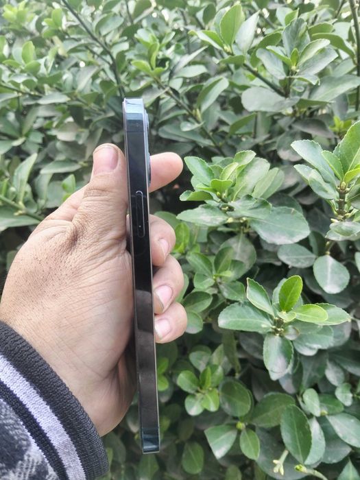 iPhone 12 Pro 512gb (Pacific Blue)