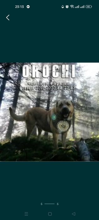 Продам внучку Орочи