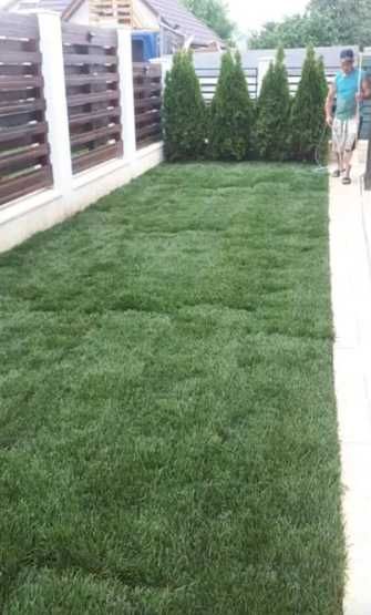 Montaj Gazon Rulou din Pepinieră – Transport și Irigare Asigurate