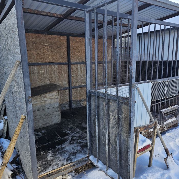 Вольер для собак