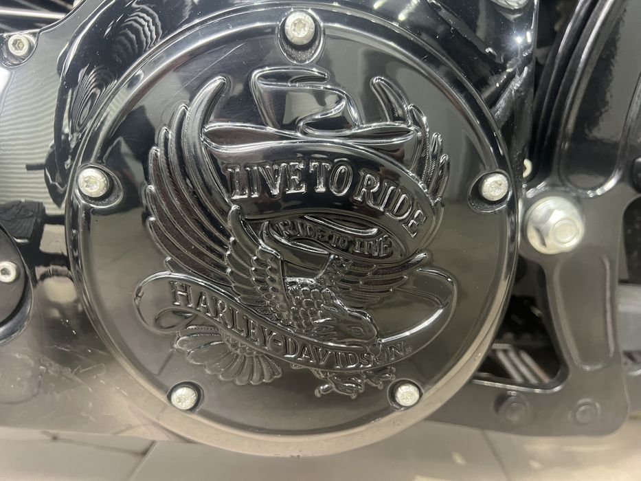 Harley softail custom