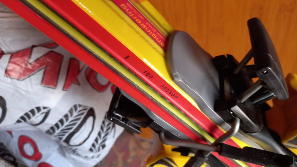 Продам лыжи, горные, 100 тыс